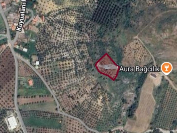 025ab3b1 f77d 4d81 bbcc b47bd134d01b