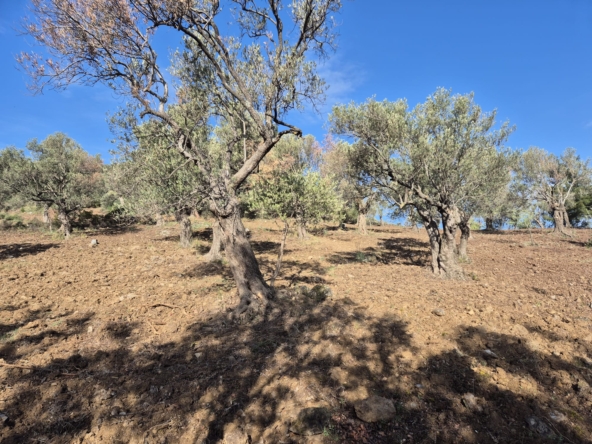 0b2b2827 3b80 45e4 b59f ec8131e6c314