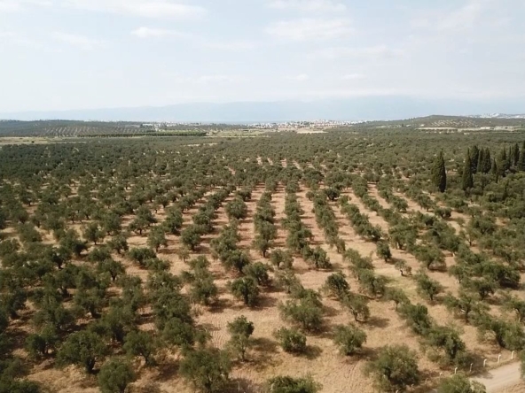 0a2d4b7a 1aa1 4176 8630 ce9c3ef4c9fe